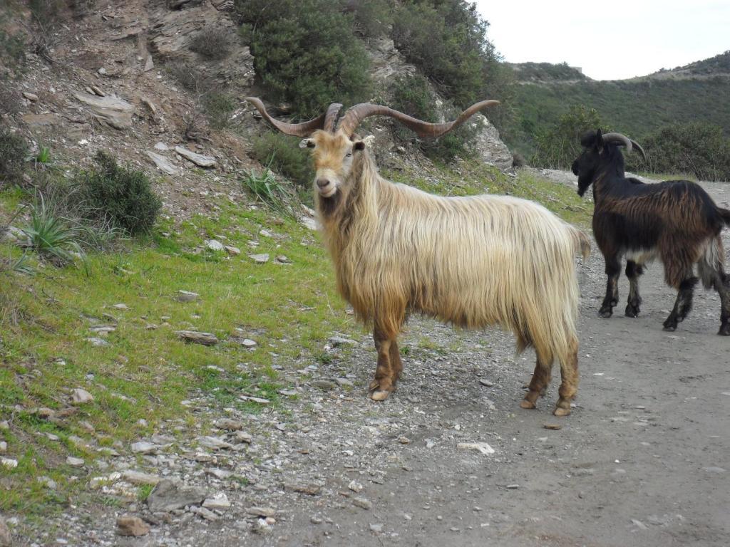 Gite U Licetu A La Campagne Oreta Exterior foto