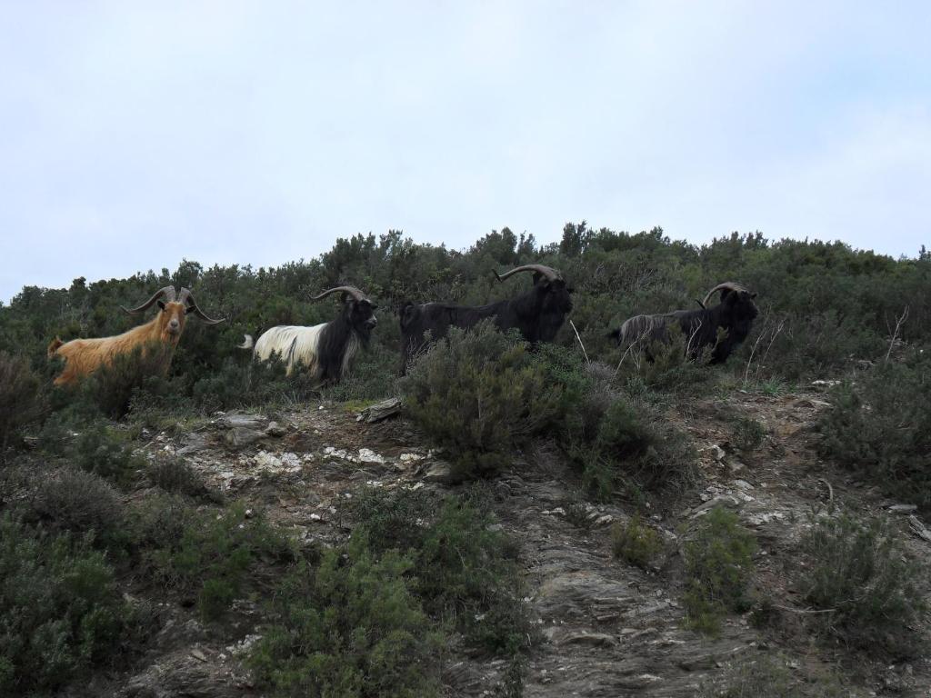 Gite U Licetu A La Campagne Oreta Exterior foto