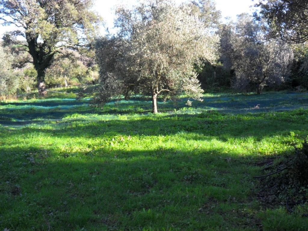 Gite U Licetu A La Campagne Oreta Exterior foto