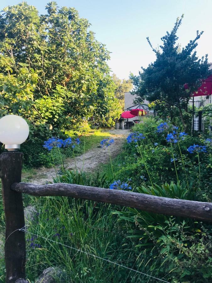 Gite U Licetu A La Campagne Oreta Exterior foto
